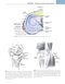 Noyes’ Knee Disorders: Surgery, Rehabilitation, Clinical Outcomes, 2nd Edition 2016