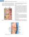 Noyes’ Knee Disorders: Surgery, Rehabilitation, Clinical Outcomes, 2nd Edition 2016