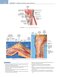 Noyes’ Knee Disorders: Surgery, Rehabilitation, Clinical Outcomes, 2nd Edition 2016