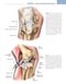 Noyes’ Knee Disorders: Surgery, Rehabilitation, Clinical Outcomes, 2nd Edition 2016