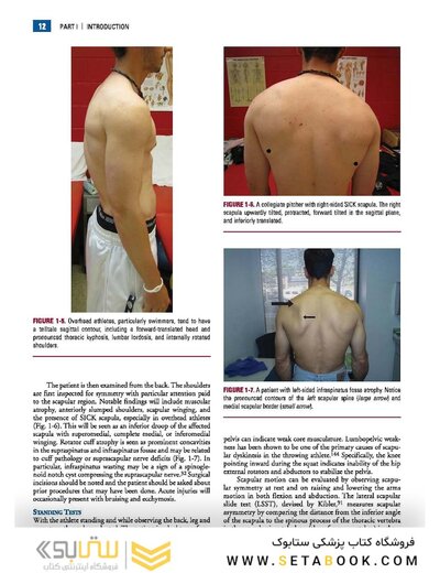 Disorders of the Shoulder: Sports Injuries -Vol2- 3E 2013