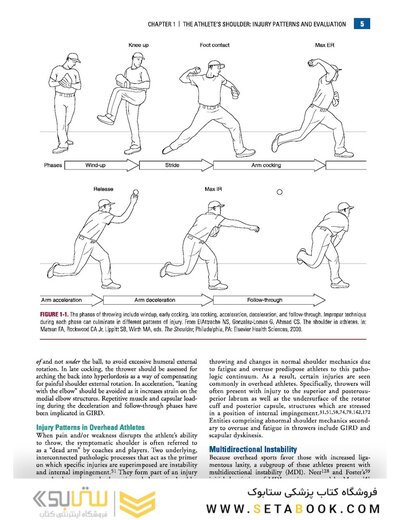 Disorders of the Shoulder: Sports Injuries -Vol2- 3E 2013