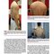 Disorders of the Shoulder: Sports Injuries -Vol2- 3E 2013