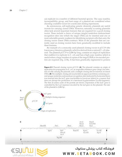 Molecular Biotechnology, 5th Edition 2022