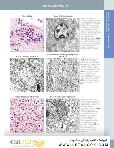 Diagnostic Pathology: Normal Histology 2nd Edition 2018