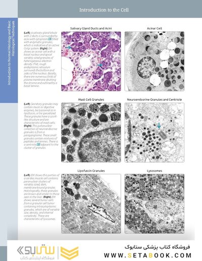 Diagnostic Pathology: Normal Histology 2nd Edition 2018