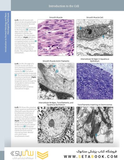 Diagnostic Pathology: Normal Histology 2nd Edition 2018