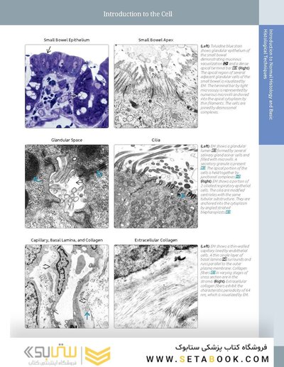 Diagnostic Pathology: Normal Histology 2nd Edition 2018