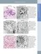 Diagnostic Pathology: Normal Histology 2nd Edition 2018