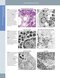 Diagnostic Pathology: Normal Histology 2nd Edition 2018