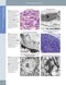 Diagnostic Pathology: Normal Histology 2nd Edition 2018
