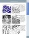 Diagnostic Pathology: Normal Histology 2nd Edition 2018