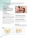 ENT and Head and Neck Procedures: An Operative Guide 2014