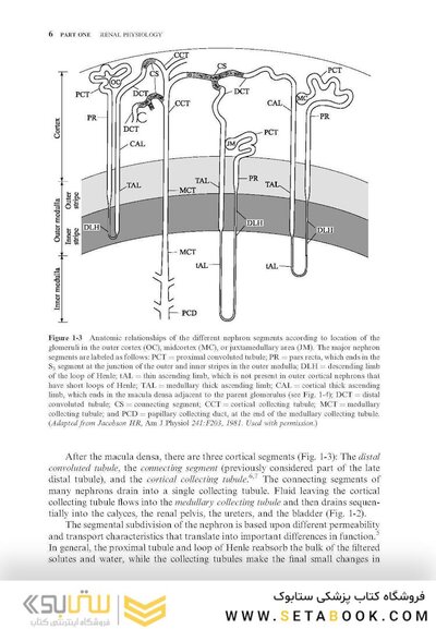 Clinical Physiology of Acid-Base and Electrolyte Disorders, 5th Edition 2020