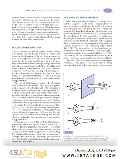 Basic Biomechanics of the Musculoskeletal System, Fourth Edition 2012