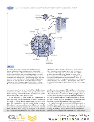 Basic Biomechanics of the Musculoskeletal System, Fourth Edition 2012