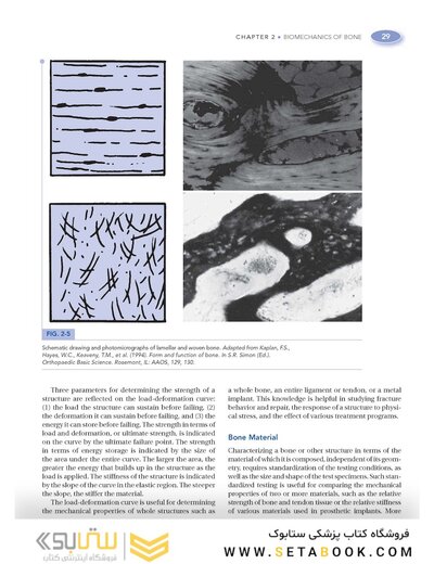 Basic Biomechanics of the Musculoskeletal System, Fourth Edition 2012