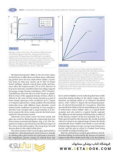 Basic Biomechanics of the Musculoskeletal System, Fourth Edition 2012