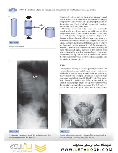 Basic Biomechanics of the Musculoskeletal System, Fourth Edition 2012