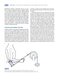 Basic Biomechanics of the Musculoskeletal System, Fourth Edition 2012