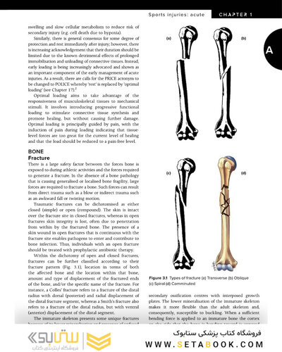 BRUKNER & KHAN’S CLINICAL SPORTS MEDICINE: INJURIES, VOL. 1 5th Edition 2017