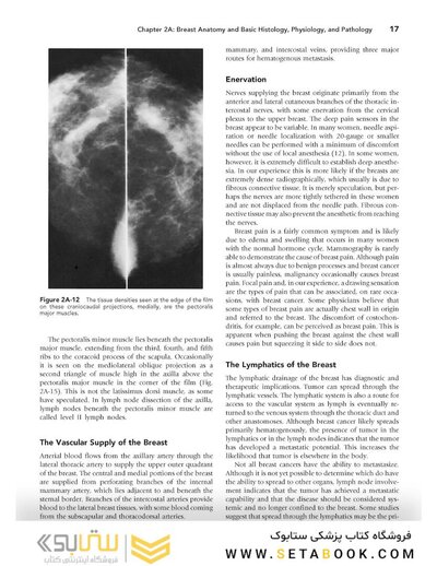 Breast Imaging (Kopans, Breast Imaging) Third Edition2006