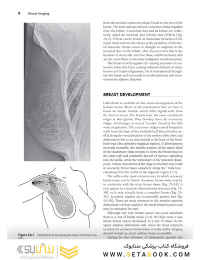 Breast Imaging (Kopans, Breast Imaging) Third Edition2006