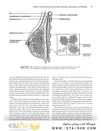 Breast Imaging (Kopans, Breast Imaging) Third Edition2006