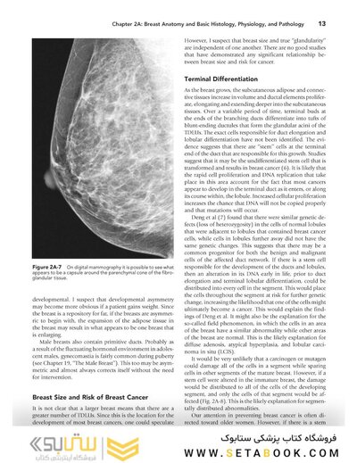 Breast Imaging (Kopans, Breast Imaging) Third Edition2006