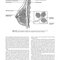 Breast Imaging (Kopans, Breast Imaging) Third Edition2006