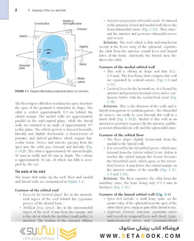 The Eye: Basic Sciences in Practice 4th Edition2015