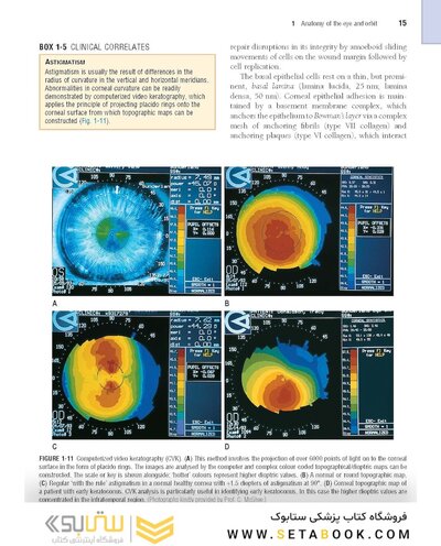 The Eye: Basic Sciences in Practice 4th Edition2015