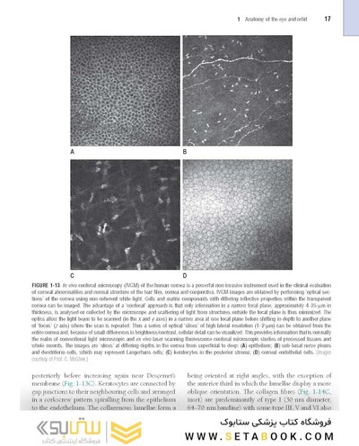 The Eye: Basic Sciences in Practice 4th Edition2015