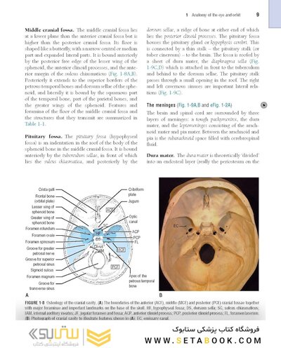 The Eye: Basic Sciences in Practice 4th Edition2015