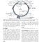 The Eye: Basic Sciences in Practice 4th Edition2015