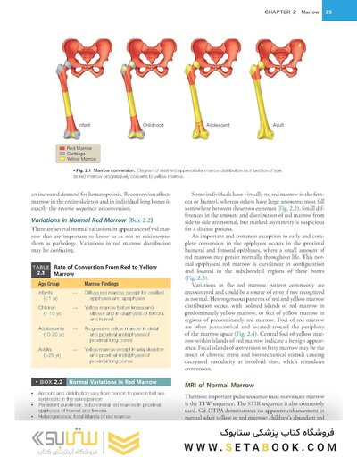 Musculoskeletal MRI 3rd Edition2019