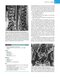 Musculoskeletal MRI 3rd Edition2019