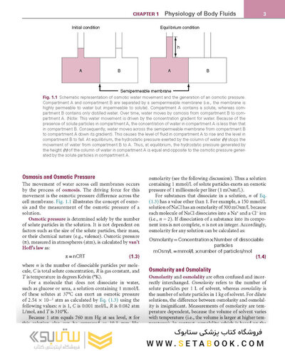 Renal Physiology: Mosby Physiology Series 6th Edition 2018