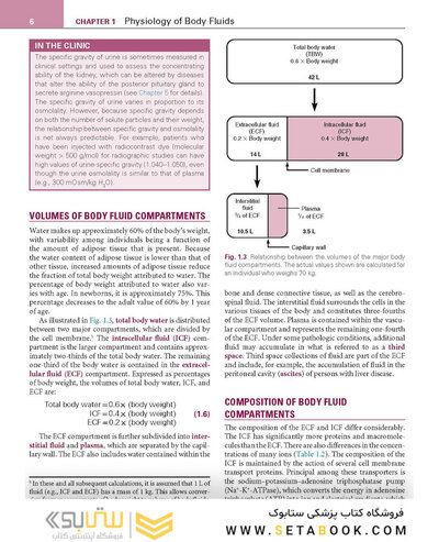 Renal Physiology: Mosby Physiology Series 6th Edition 2018