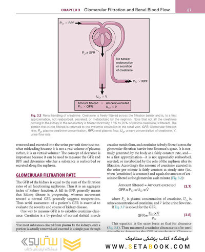 Renal Physiology: Mosby Physiology Series 6th Edition 2018