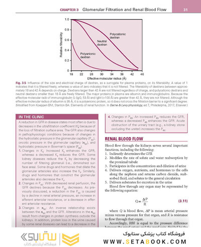 Renal Physiology: Mosby Physiology Series 6th Edition 2018