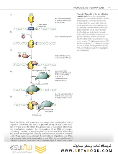 Epigenetics 1st Edition 2014
