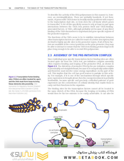 Epigenetics 1st Edition 2014