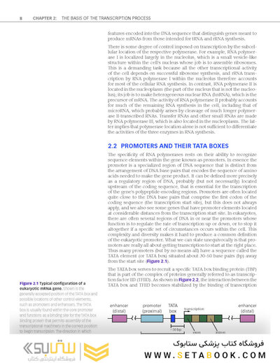Epigenetics 1st Edition 2014