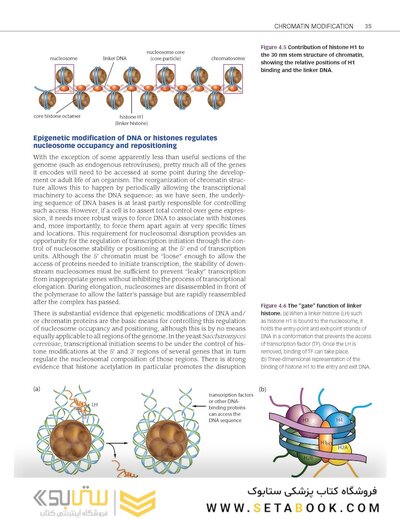 Epigenetics 1st Edition 2014