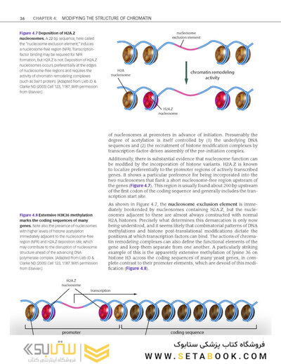 Epigenetics 1st Edition 2014