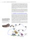 Epigenetics 1st Edition 2014