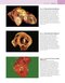 Robbins and Cotran Atlas of Pathology (Robbins Pathology) 4th Edition