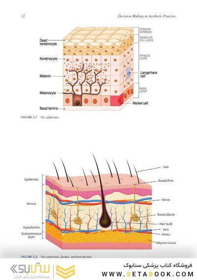 Decision Making in Aesthetic Practice: The Right Procedures for the Right Patients