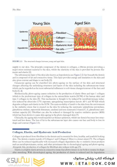 Decision Making in Aesthetic Practice: The Right Procedures for the Right Patients